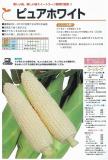 クリックすると商品の詳細がご覧いただけます