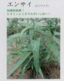 クリックすると商品の詳細がご覧いただけます