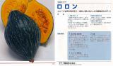 クリックすると商品の詳細がご覧いただけます