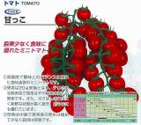 クリックすると商品の詳細がご覧いただけます
