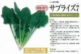 クリックすると商品の詳細がご覧いただけます