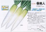 クリックすると商品の詳細がご覧いただけます