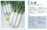 クリックすると商品の詳細がご覧いただけます