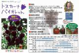 クリックすると商品の詳細がご覧いただけます