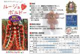 クリックすると商品の詳細がご覧いただけます