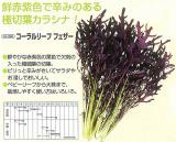 クリックすると商品の詳細がご覧いただけます