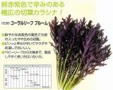 クリックすると商品の詳細がご覧いただけます