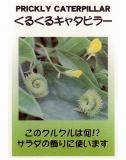 クリックすると商品の詳細がご覧いただけます